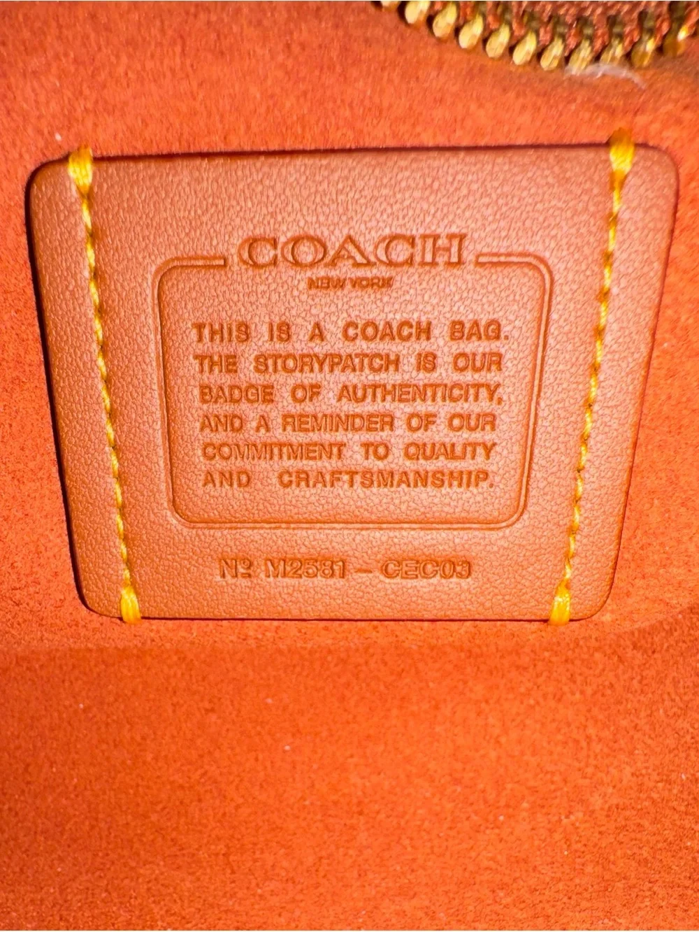COACH Soft Empire 21 Bag in Clay Suede